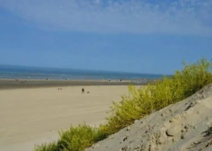 Duplex Ideal Pour 4 Pers. Avec Balcon A Stella-plage, Proche Commerces Et - Fr-1-236-102